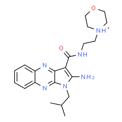 ChemSpider 2D Image | 4-(2-{[(2-Amino-1-isobutyl-1H-pyrrolo[2,3-b]quinoxalin-3-yl)carbonyl]amino}ethyl)morpholin-4-ium | C21H29N6O2