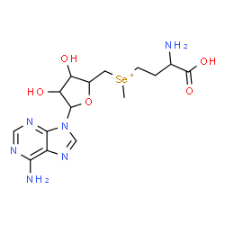 ChemSpider 2D Image | (3-Amino-3-carboxypropyl){[5-(6-amino-9H-purin-9-yl)-3,4-dihydroxytetrahydro-2-furanyl]methyl}methylselenonium | C15H23N6O5Se