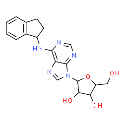 ChemSpider 2D Image | 2-(hydroxymethyl)-5-[6-(indan-1-ylamino)purin-9-yl]tetrahydrofuran-3,4-diol | C19H21N5O4