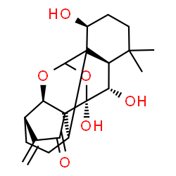 ChemSpider 2D Image | (2S,5S,9R,13R,14S,15R,19S)-13,14,19-Trihydroxy-16,16-dimethyl-6-methylene-10,12-dioxahexacyclo[9.8.0.0~1,15~.0~2,8~.0~5,9~.0~8,13~]nonadecan-7-one | C20H26O6