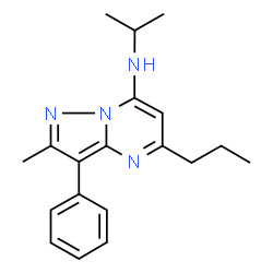 ChemSpider 2D Image | N-Isopropyl-2-methyl-3-phenyl-5-propylpyrazolo[1,5-a]pyrimidin-7-amine | C19H24N4