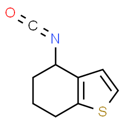 ChemSpider 2D Image | 4-Isocyanato-4,5,6,7-tetrahydro-1-benzothiophene | C9H9NOS