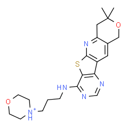 ChemSpider 2D Image | 4-{3-[(8,8-Dimethyl-7,10-dihydro-8H-pyrano[3'',4'':5',6']pyrido[3',2':4,5]thieno[3,2-d]pyrimidin-4-yl)amino]propyl}morpholin-4-ium | C21H28N5O2S