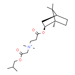 ChemSpider 2D Image | N-(2-Isobutoxy-2-oxoethyl)-N,N-dimethyl-3-oxo-3-{[(1R,2S,4S)-1,7,7-trimethylbicyclo[2.2.1]hept-2-yl]oxy}-1-propanaminium | C21H38NO4