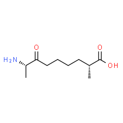 ChemSpider 2D Image | (2R,8S)-8-Amino-2-methyl-7-oxononanoic acid | C10H19NO3