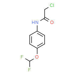 ChemSpider 2D Image | 2-Chloro-N-[4-(difluoromethoxy)phenyl]acetamide | C9H8ClF2NO2