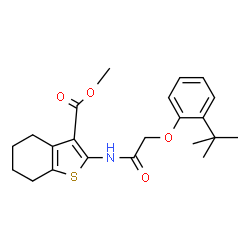 ChemSpider 2D Image | methyl 2-{[(2-tert-butylphenoxy)acetyl]amino}-4,5,6,7-tetrahydro-1-benzothiophene-3-carboxylate | C22H27NO4S