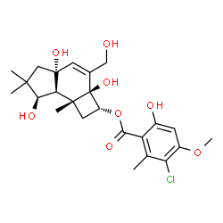 ChemSpider 2D Image | (2R,2aS,4aR,7R,7aS,7bR)-2a,4a,7-Trihydroxy-3-(hydroxymethyl)-6,6,7b-trimethyl-2,2a,4a,5,6,7,7a,7b-octahydro-1H-cyclobuta[e]inden-2-yl 3-chloro-6-hydroxy-4-methoxy-2-methylbenzoate | C24H31ClO8