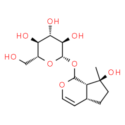 ChemSpider 2D Image | (4aR,7S,7aS)-7-Hydroxy-7-methyl-1,4a,5,6,7,7a-hexahydrocyclopenta[c]pyran-1-yl beta-D-glucopyranoside | C15H24O8