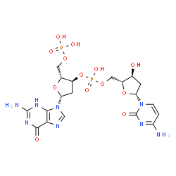 ChemSpider 2D Image | [(2R,3S,5R)-5-(2-Amino-6-oxo-3,6-dihydro-9H-purin-9-yl)-3-{[{[(2R,3S,5R)-5-(4-amino-2-oxo-1(2H)-pyrimidinyl)-3-hydroxytetrahydro-2-furanyl]methoxy}(hydroxy)phosphoryl]oxy}tetrahydro-2-furanyl]methyl d
ihydrogen phosphate | C19H26N8O13P2