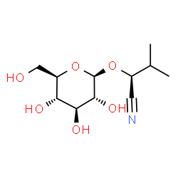 ChemSpider 2D Image | Heterodendrin | C11H19NO6