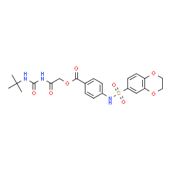 ChemSpider 2D Image | 2-{[(2-Methyl-2-propanyl)carbamoyl]amino}-2-oxoethyl 4-[(2,3-dihydro-1,4-benzodioxin-6-ylsulfonyl)amino]benzoate | C22H25N3O8S