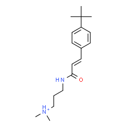 ChemSpider 2D Image | N,N-Dimethyl-3-({(2E)-3-[4-(2-methyl-2-propanyl)phenyl]-2-propenoyl}amino)-1-propanaminium | C18H29N2O