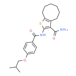 ChemSpider 2D Image | 2-[(4-Isobutoxybenzoyl)amino]-4,5,6,7,8,9-hexahydrocycloocta[b]thiophene-3-carboxamide | C22H28N2O3S