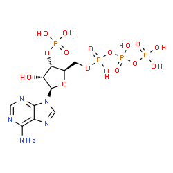 ChemSpider 2D Image | Adenosine 3'-(dihydrogen phosphate) 5'-(tetrahydrogen triphosphate) | C10H17N5O16P4