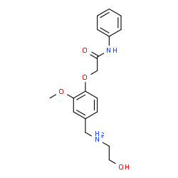 ChemSpider 2D Image | N-[4-(2-Anilino-2-oxoethoxy)-3-methoxybenzyl]-2-hydroxyethanaminium | C18H23N2O4