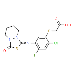 ChemSpider 2D Image | ({2-Chloro-4-fluoro-5-[(3-oxotetrahydro[1,3,4]thiadiazolo[3,4-a]pyridazin-1-ylidene)amino]phenyl}sulfanyl)acetic acid | C14H13ClFN3O3S2