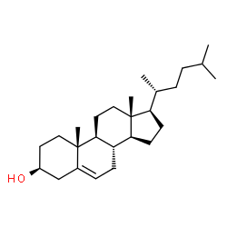 ChemSpider 2D Image | 24-norcholesterol | C26H44O