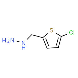 ChemSpider 2D Image | [(5-Chloro-2-thienyl)methyl]hydrazine | C5H7ClN2S