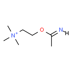 ChemSpider 2D Image | 2-[(1E)-Ethanimidoyloxy]-N,N,N-trimethylethanaminium | C7H17N2O
