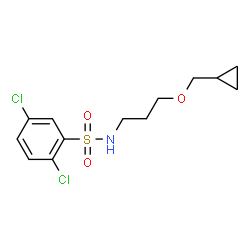 ChemSpider 2D Image | 2,5-Dichloro-N-[3-(cyclopropylmethoxy)propyl]benzenesulfonamide | C13H17Cl2NO3S