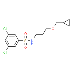 ChemSpider 2D Image | 3,5-Dichloro-N-[3-(cyclopropylmethoxy)propyl]benzenesulfonamide | C13H17Cl2NO3S