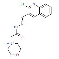 ChemSpider 2D Image | 4-(2-{2-[(2-Chloro-3-quinolinyl)methylene]hydrazino}-2-oxoethyl)morpholin-4-ium | C16H18ClN4O2