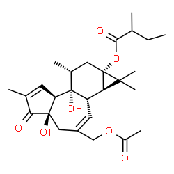 ChemSpider 2D Image | 12-deoxyphorbol 20-acetate 13-(2-methylbutanoate) | C27H38O7