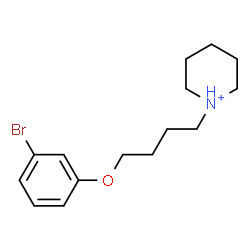 ChemSpider 2D Image | 1-[4-(3-Bromophenoxy)butyl]piperidinium | C15H23BrNO