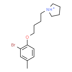 ChemSpider 2D Image | 1-[4-(2-Bromo-4-methylphenoxy)butyl]pyrrolidinium | C15H23BrNO