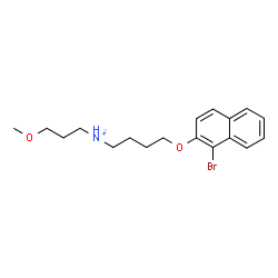 ChemSpider 2D Image | 4-[(1-Bromo-2-naphthyl)oxy]-N-(3-methoxypropyl)-1-butanaminium | C18H25BrNO2