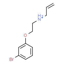 ChemSpider 2D Image | N-[2-(3-Bromophenoxy)ethyl]-2-propen-1-aminium | C11H15BrNO