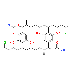 ChemSpider 2D Image | (2R,3S,13R,14S)-8-(4-Chlorobutyl)-19-(4,4-dichlorobutyl)-10,21,24,26-tetrahydroxy-3,14-dimethyltricyclo[18.2.2.2~9,12~]hexacosa-1(22),9,11,20,23,25-hexaene-2,13-diyl dicarbamate | C38H55Cl3N2O8