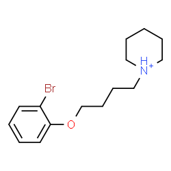 ChemSpider 2D Image | 1-[4-(2-Bromophenoxy)butyl]piperidinium | C15H23BrNO