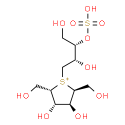 ChemSpider 2D Image | (2S,3S,4S,5S)-1-[(2S,3S)-2,4-Dihydroxy-3-(sulfooxy)butyl]-3,4-dihydroxy-2,5-bis(hydroxymethyl)tetrahydrothiophenium | C10H21O10S2