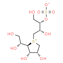 ChemSpider 2D Image | (2S,3S)-4-{(2R,3S,4R)-2-[(1R)-1,2-Dihydroxyethyl]-3,4-dihydroxytetrahydro-1-thiopheniumyl}-1,3-dihydroxy-2-butanyl sulfate | C10H20O10S2