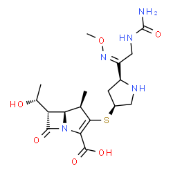 ChemSpider 2D Image | (4R,5S,6S)-3-({(3S,5S)-5-[(1E)-2-(Carbamoylamino)-N-methoxyethanimidoyl]-3-pyrrolidinyl}sulfanyl)-6-[(1R)-1-hydroxyethyl]-4-methyl-7-oxo-1-azabicyclo[3.2.0]hept-2-ene-2-carboxylic acid | C18H27N5O6S