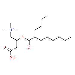 ChemSpider 2D Image | 2-[(2-Butyloctanoyl)oxy]-3-carboxy-N,N,N-trimethyl-1-propanaminium | C19H38NO4