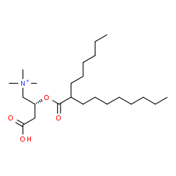 ChemSpider 2D Image | (2R)-3-Carboxy-2-[(2-hexyldecanoyl)oxy]-N,N,N-trimethyl-1-propanaminium | C23H46NO4