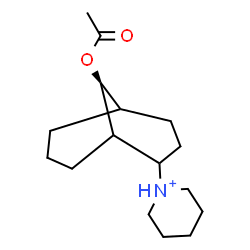 ChemSpider 2D Image | 1-[(9S)-9-Acetoxybicyclo[3.3.1]non-2-yl]piperidinium | C16H28NO2