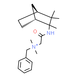 ChemSpider 2D Image | N-Benzyl-N,N-dimethyl-2-oxo-2-{[(1R,4S)-2,3,3-trimethylbicyclo[2.2.1]hept-2-yl]amino}ethanaminium | C21H33N2O