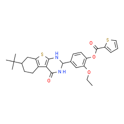 ChemSpider 2D Image | 2-Ethoxy-4-[7-(2-methyl-2-propanyl)-4-oxo-1,2,3,4,5,6,7,8-octahydro[1]benzothieno[2,3-d]pyrimidin-2-yl]phenyl 2-thiophenecarboxylate | C27H30N2O4S2