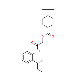 ChemSpider 2D Image | 2-({2-[(2R)-2-Butanyl]phenyl}amino)-2-oxoethyl 4-(2-methyl-2-propanyl)cyclohexanecarboxylate | C23H35NO3