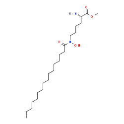ChemSpider 2D Image | Methyl N~6~-hydroxy-N~6~-palmitoyl-L-lysinate | C23H46N2O4