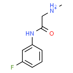ChemSpider 2D Image | 2-[(3-Fluorophenyl)amino]-N-methyl-2-oxoethanaminium | C9H12FN2O