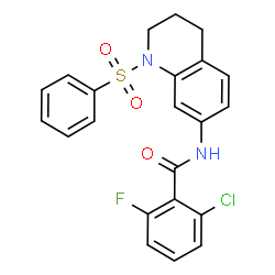 ChemSpider 2D Image | 2-Chloro-6-fluoro-N-[1-(phenylsulfonyl)-1,2,3,4-tetrahydro-7-quinolinyl]benzamide | C22H18ClFN2O3S