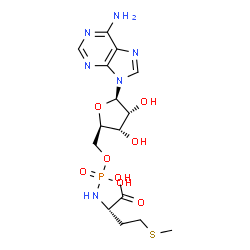 ChemSpider 2D Image | (2S)-2-{[{[(2R,3S,4R,5R)-5-(6-Amino-9H-purin-9-yl)-3,4-dihydroxytetrahydro-2-furanyl]methoxy}(hydroxy)phosphoryl]amino}-4-(methylsulfanyl)butanoic acid | C15H23N6O8PS
