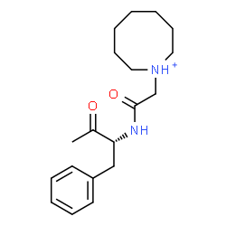 ChemSpider 2D Image | 1-(2-Oxo-2-{[(2R)-3-oxo-1-phenyl-2-butanyl]amino}ethyl)azocanium | C19H29N2O2