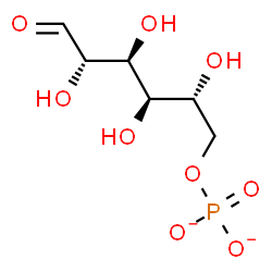 mannose 6 phosphate