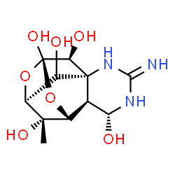 ChemSpider 2D Image | (1R,5R,6R,7R,9S,11S,12S,13S,14S)-3-Imino-14-methyl-8,10-dioxa-2,4-diazatetracyclo[7.3.1.1~7,11~.0~1,6~]tetradecane-5,9,12,13,14-pentol | C11H17N3O7